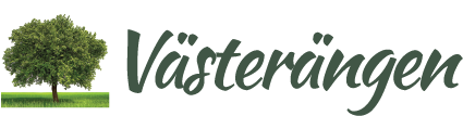 logo_wide