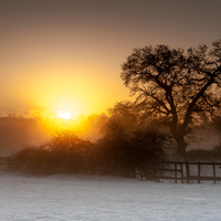 Västerängen November 2025