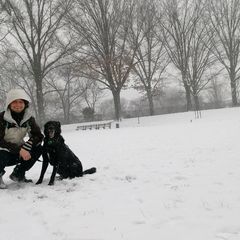 Västerängen Februari 2026