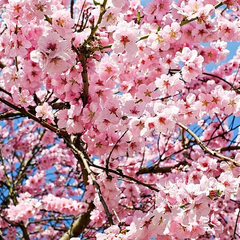 April är här och bär med sig känslan av vå...