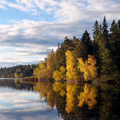 Västerängen September 2026