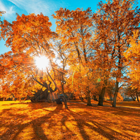 Västerängen Oktober 2026